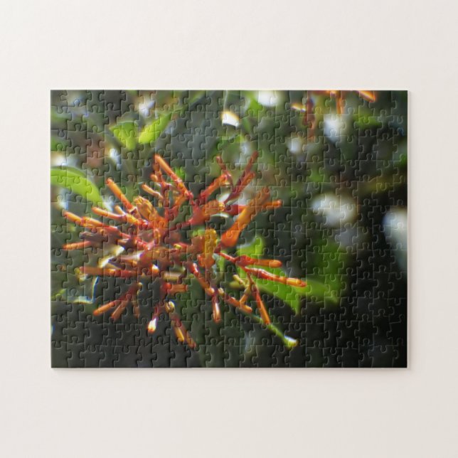 Quebra-cabeça de Planta de Laranja (Horizontal)