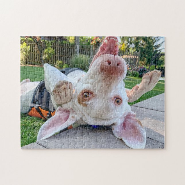 Quebra-cabeça de Ponteiro Feliz (Horizontal)