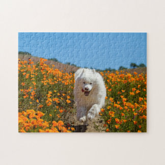 Quebra-cabeça de Popias de Coco