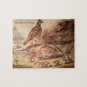 Quebra-cabeça de Quail Family (100 peças)
