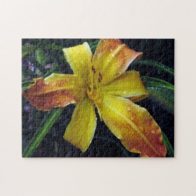 Quebra-cabeça de quebra-cabeça com padrão criativo (Horizontal)