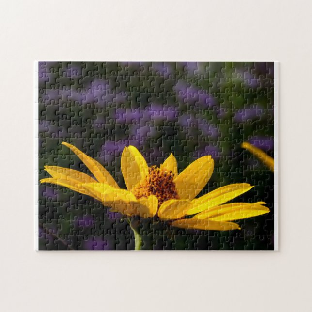 Quebra-cabeça de quebra-cabeça com padrão criativo (Horizontal)