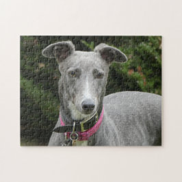 Quebra-cabeça de quebra-cabeça de Greyhound