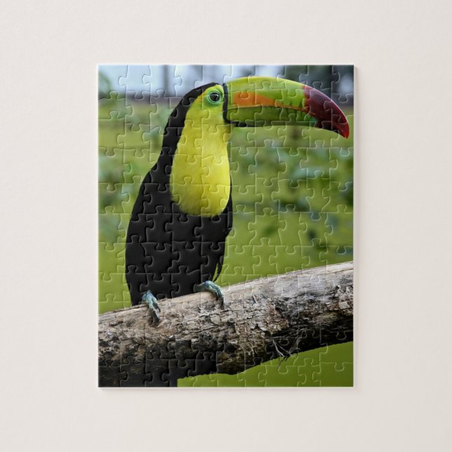 QUEBRA-CABEÇA de quebra-cabeça TOUCAN (Vertical)