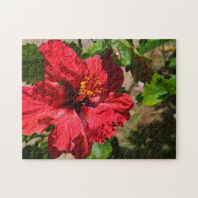 Quebra-cabeça de Red Hibiscus (Horizontal)