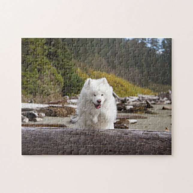 Quebra-cabeça de registro de coco (Horizontal)