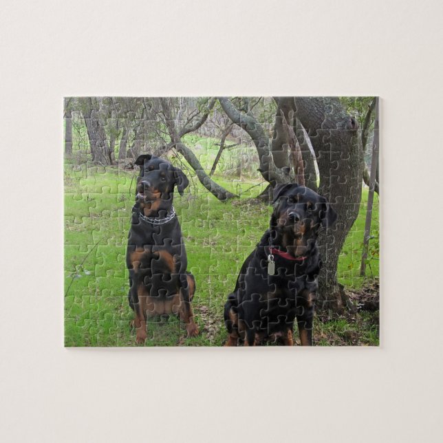 Quebra-cabeça de Rottweiler (Horizontal)