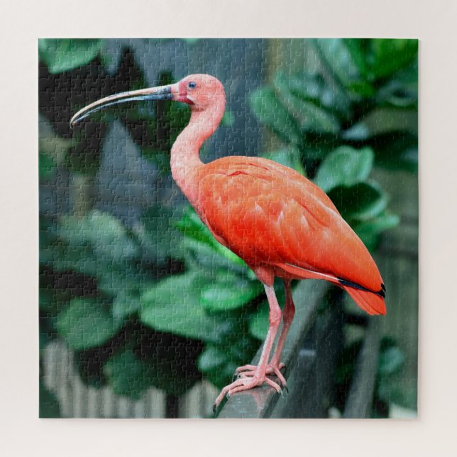 Quebra-cabeça de Scarlet Jigsee (Vertical)