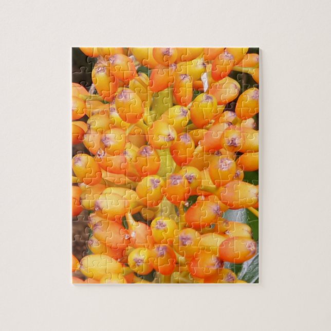 Quebra-cabeça de Sementes de Flores (Vertical)