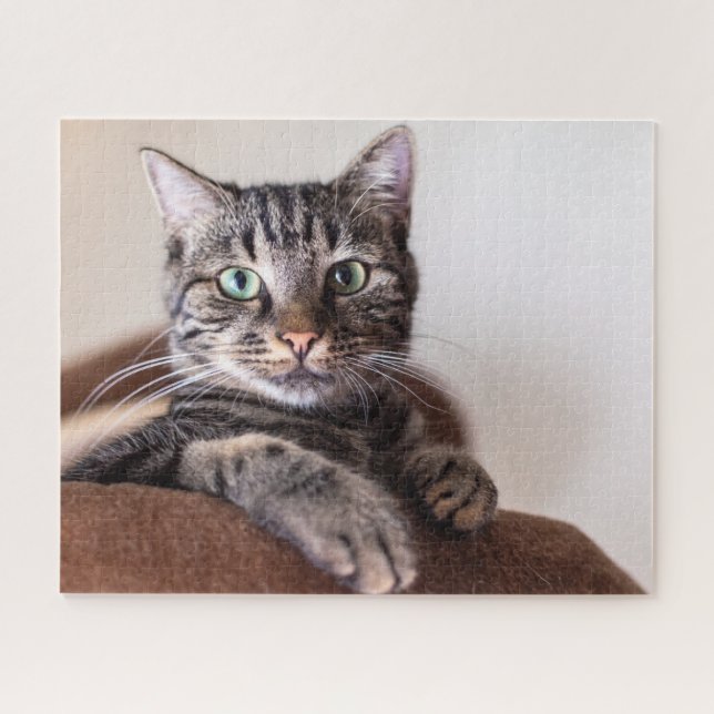 Quebra-cabeça de serra (Horizontal)