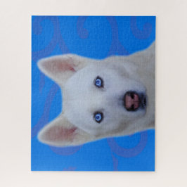 Quebra-cabeça de serra branca Siberiana (Blue BG)