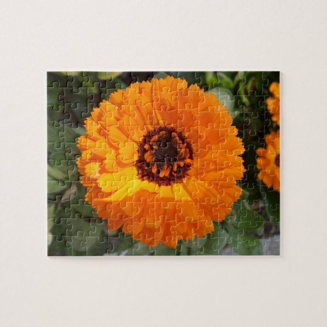 Quebra-cabeça de serra de Flor Laranja (Horizontal)