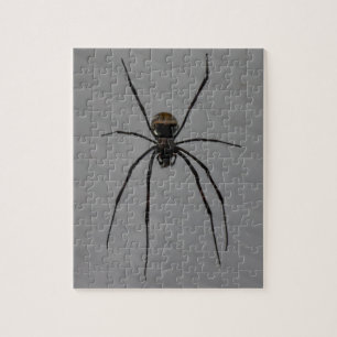 Quebra-cabeça de serra de vaivém da aranha