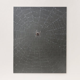 Quebra-cabeça de serra de vaivém da Web de aranh