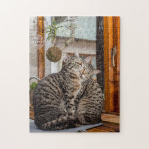 Quebra-cabeça de serra de vaivém de dois gatos