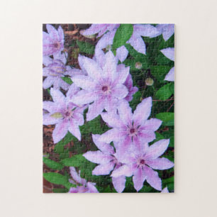Quebra-cabeça de serra de vaivém do *Clematis*