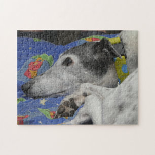 Quebra-cabeça de serra de vaivém do galgo