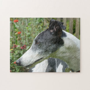 Quebra-cabeça de serra de vaivém do galgo (p101)