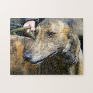 Quebra-cabeça de serra de vaivém do galgo (p289)