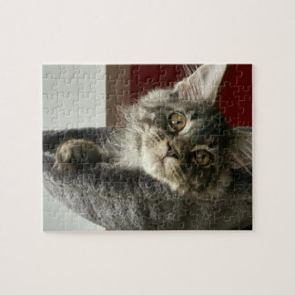 Quebra-cabeça de serra de vaivém do gatinho do