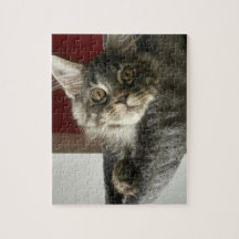 Quebra-cabeça de serra de vaivém do gatinho do