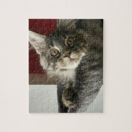 Quebra-cabeça de serra de vaivém do gatinho do