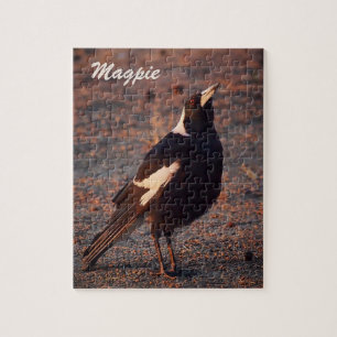 Quebra-cabeça de serra de vaivém do Magpie