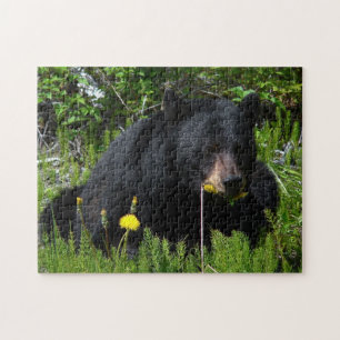 Quebra-cabeça de serra de vaivém do urso preto
