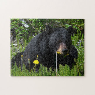 Quebra-cabeça de serra de vaivém do urso preto