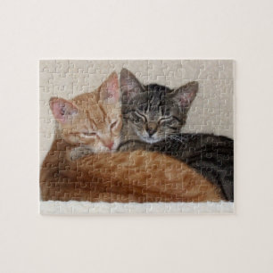 Quebra-cabeça de serra de vaivém dos gatos de ga