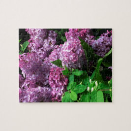 Quebra-cabeça de serra de vaivém: LILACS