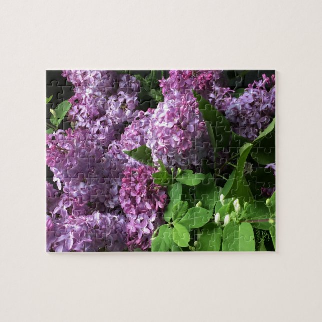 Quebra-cabeça de serra de vaivém:  LILACS (Horizontal)