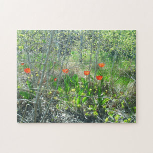 Quebra-cabeça de serra de vaivém vermelho das