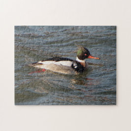 Quebra-cabeça de serra-gigante Merganser