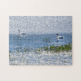 Quebra-cabeça de Swan no Lago Sunset