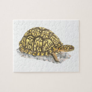 Quebra-cabeça de Tartaruga-de-Vaca
