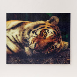 Quebra-cabeça de Tigre para Andar