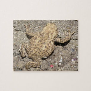 Quebra-cabeça de Toad de Rastreamento de Cute