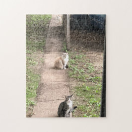 Quebra-cabeça de três gatos