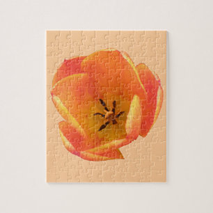 Quebra-cabeça de Tulip Laranja