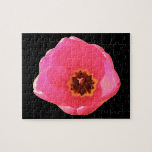 Quebra-cabeça de Tulip Rosa