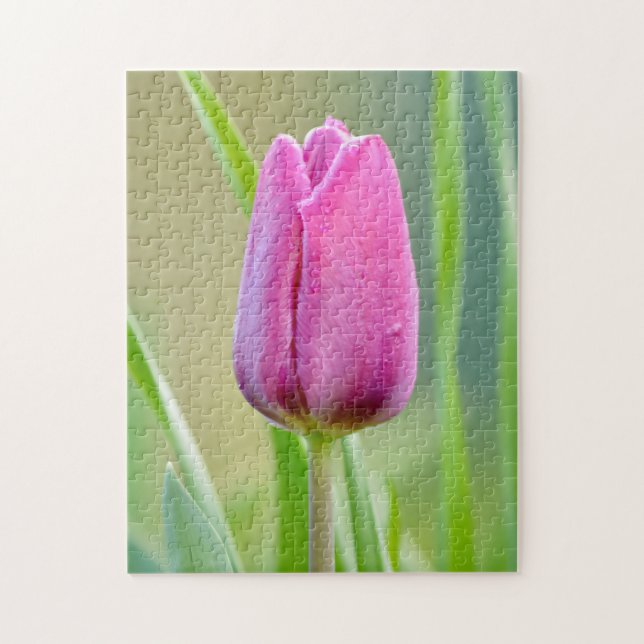 Quebra-cabeça de tulipa rosa (Vertical)