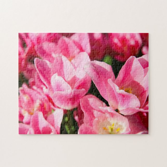 Quebra-cabeça de Tulipas Rosa (Horizontal)