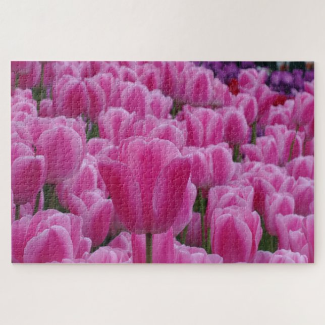Quebra-cabeça de Tulipas Rosa (Horizontal)