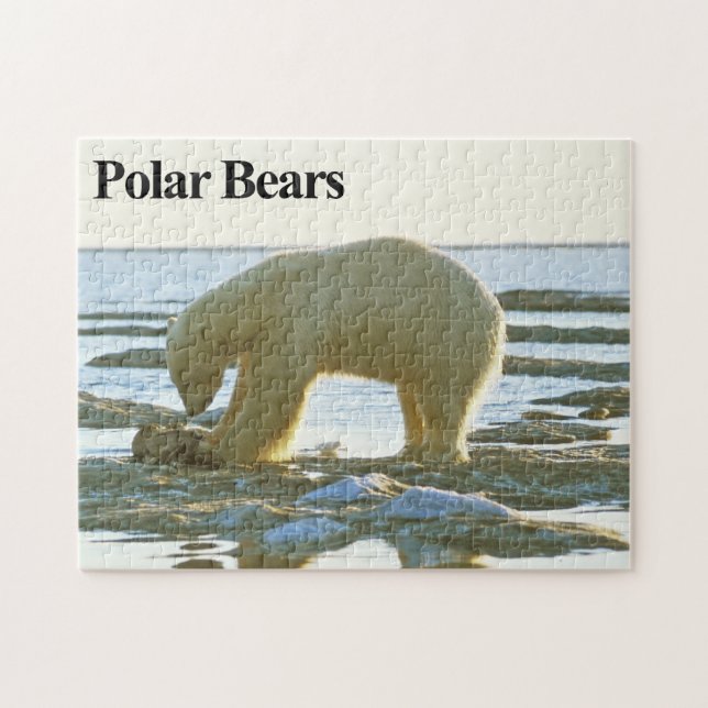Quebra-cabeça de Urso Polar 10 (Horizontal)