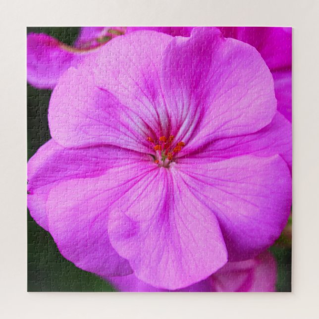 Quebra-cabeça de vidro leve e roxo Geranium (Vertical)