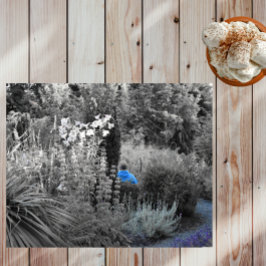 Quebra-cabeça de Visitante de Jardim Azul Seletiva