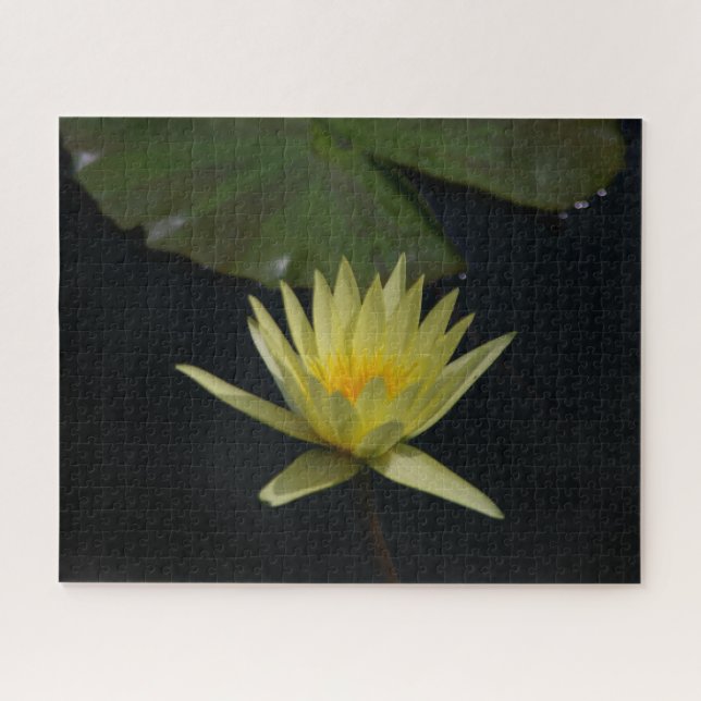 Quebra-cabeça de Waterlily Jigsera Amarela (Horizontal)