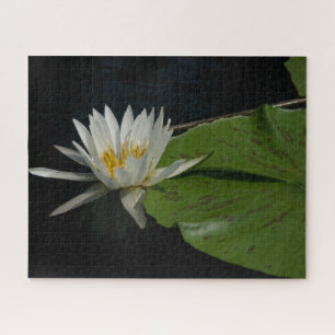 Quebra-cabeça de Waterlily Jigsera Branca