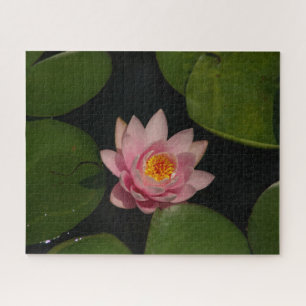 Quebra-cabeça de Waterlily Jigsera Rosa